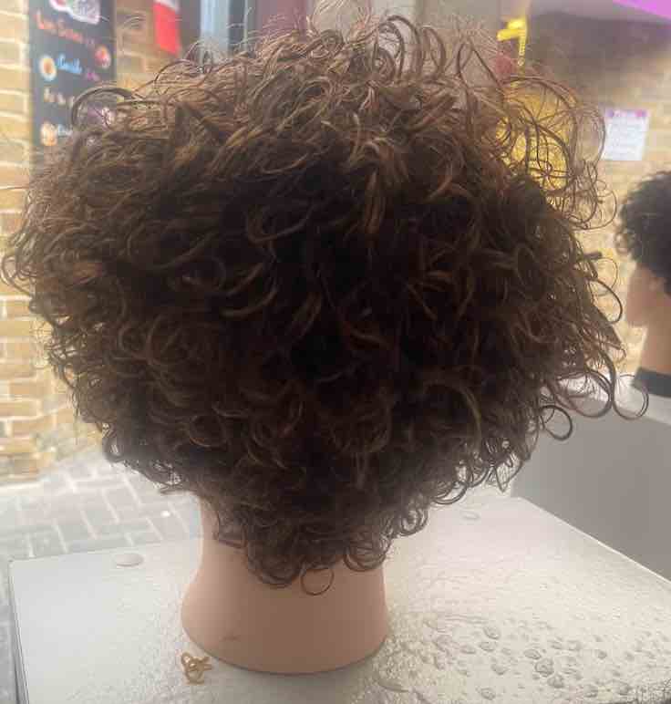 Brazilian Soft curl wig