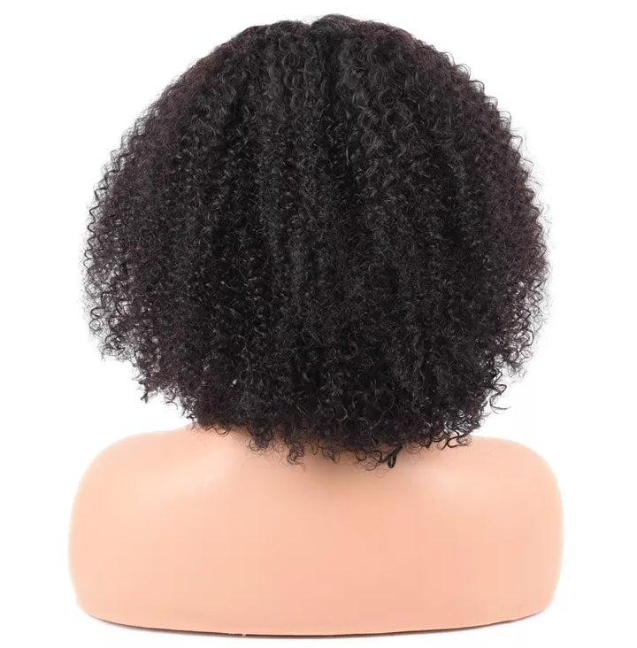 Human Hair Afro Curl Lace front wig